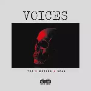 Tec - Voices Ft. Mojeed & Spax